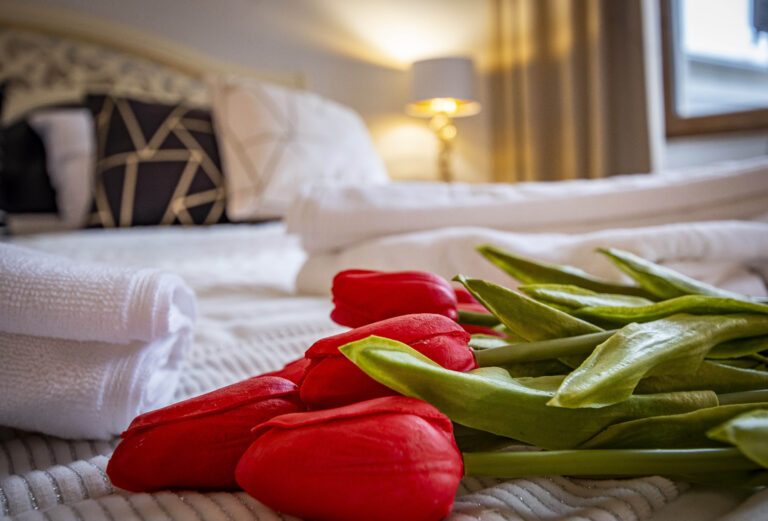 Wohnung Gold | Aparthotel Walcz